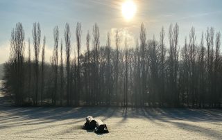 Yoga Studio 52 - Yogareihe zu den Rauhnächten